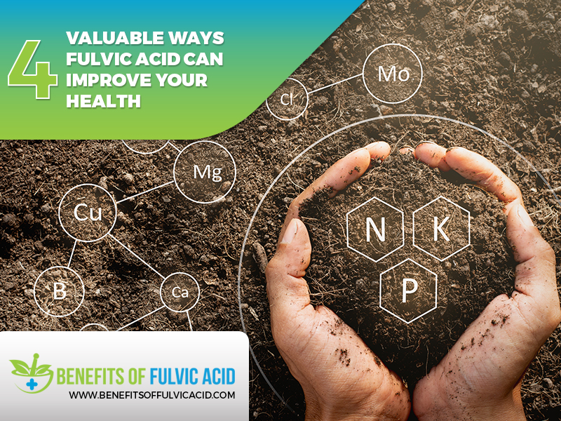 fulvic acid and gut health
