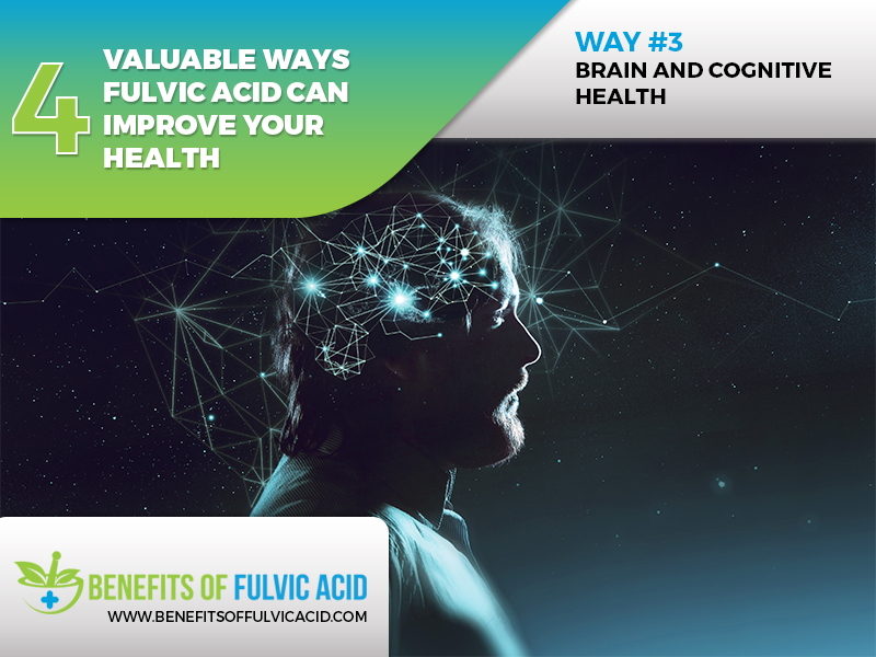  the importance of fulvic acid