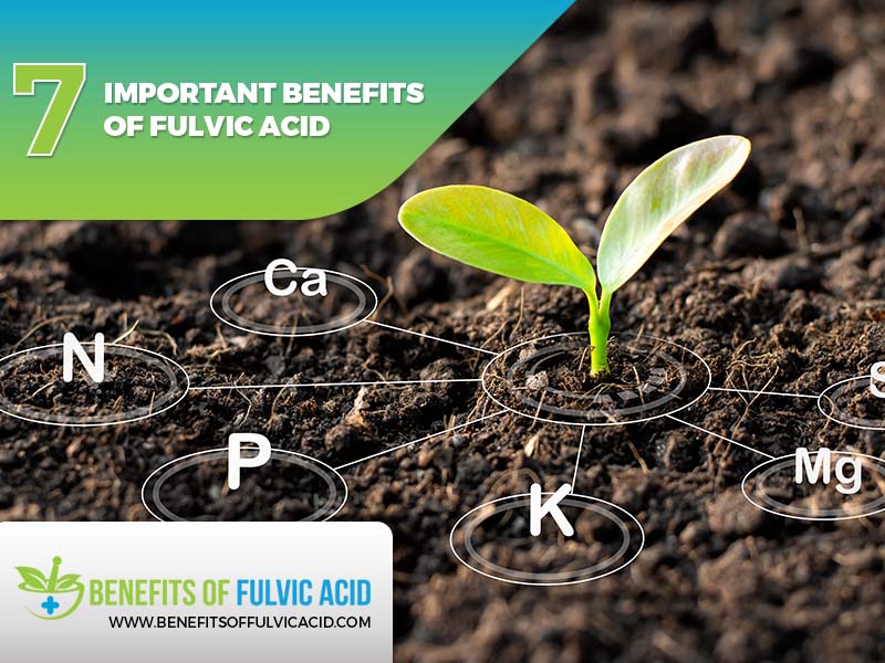  why is fulvic acid essential