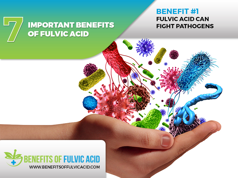 what is fulvic acid