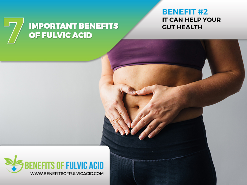  ways fulvic acid improves health