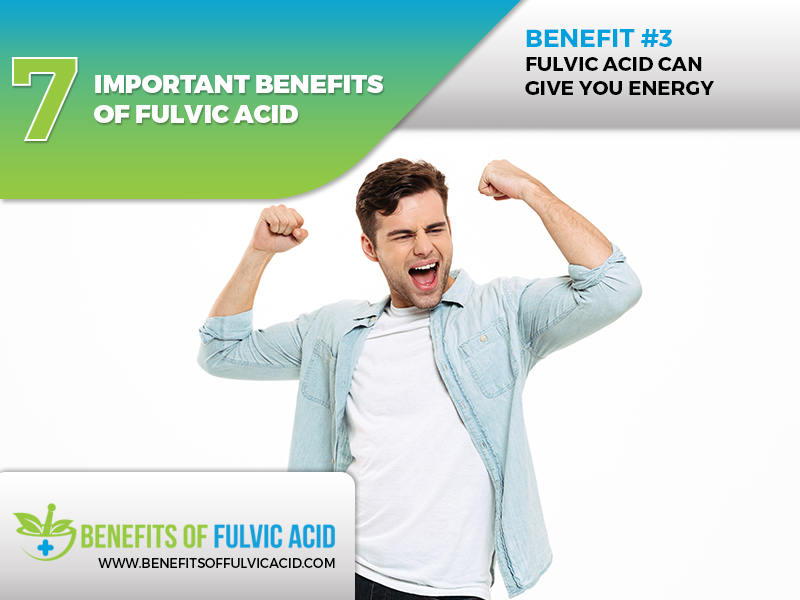  why is fulvic acid essential