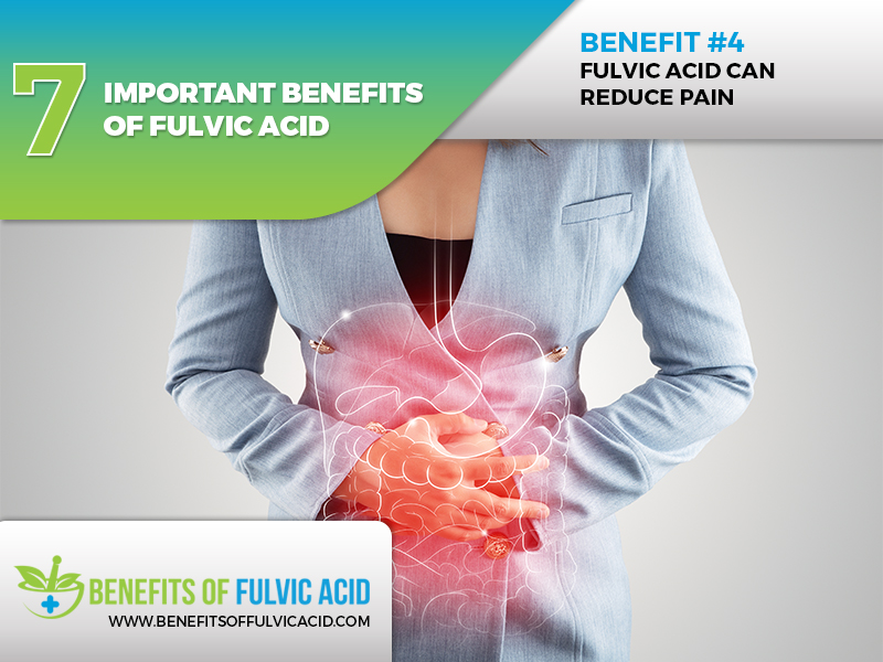  the value of fulvic acid